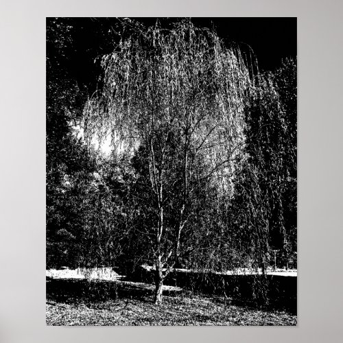 Weeping Willow Canvas Poster