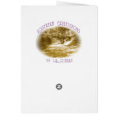 Weeping Willow Cards (Back)