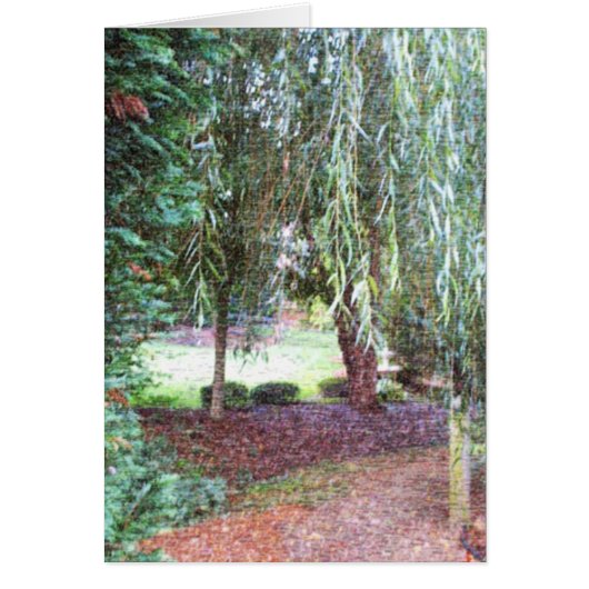 Weeping Willow Cards (Front)