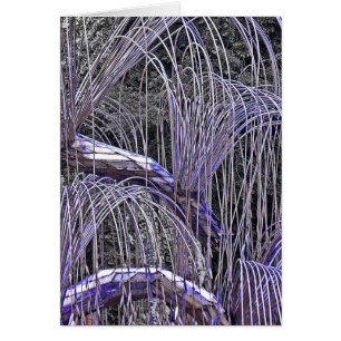 Weeping Willow in Metal Cards