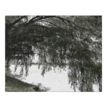 Weeping Willow on the Water
