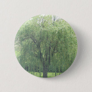 Weeping WIllow Pinback Button