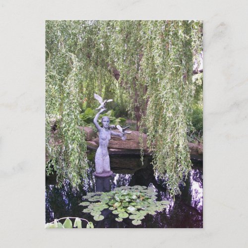 Weeping Willow Postcard