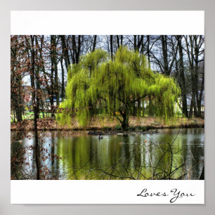 Weeping Willow Poster