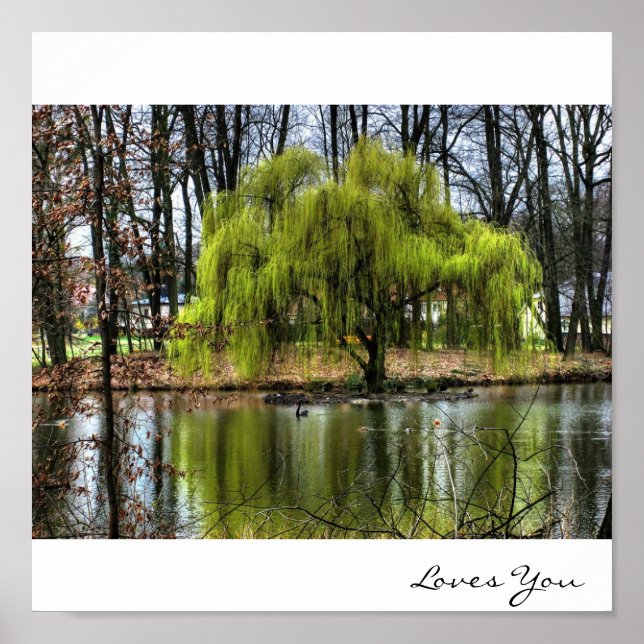 Weeping Willow Poster (Front)