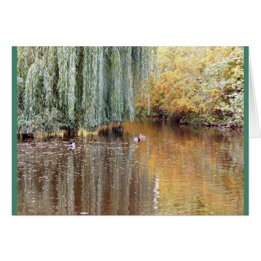 Weeping Willow Reflection Cards (Front Horizontal)