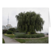 Weeping Willow Toronto BIG Cards (Front Horizontal)