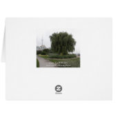 Weeping Willow Toronto BIG Cards (Back Horizontal)