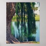 Weeping Willow Tree 20&quot; X 16&quot; Poster Paper (matte) at Zazzle