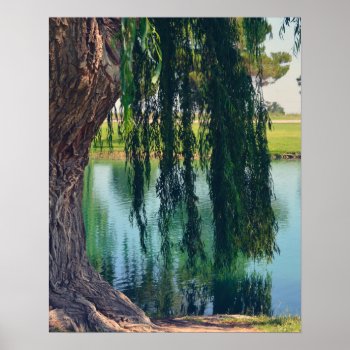 Weeping Willow Tree 20" X 16" Poster Paper (matte) by InsideOut_by_Rebecca at Zazzle