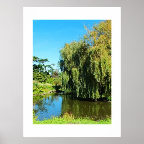 Weeping willow tree and lake poster
