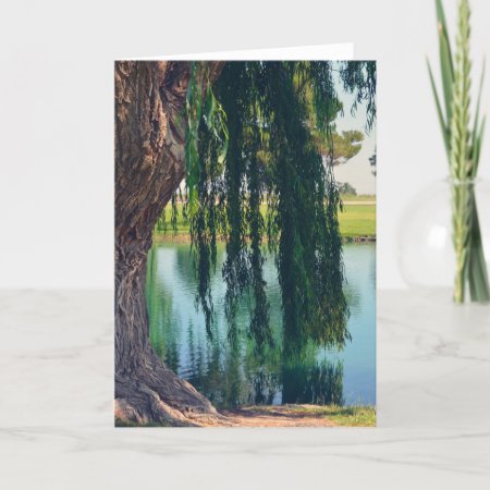 Weeping Willow Tree By Lake Greeting Card