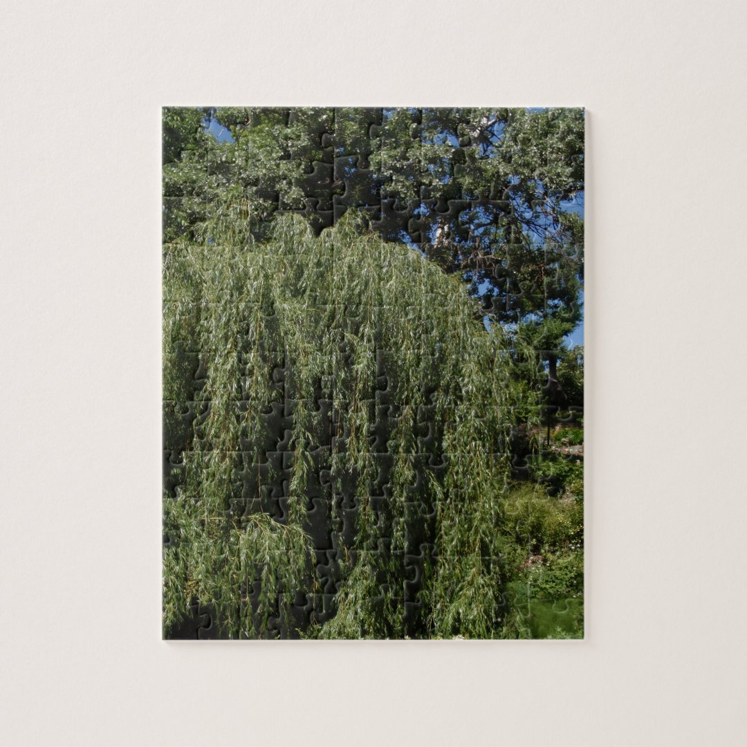 Weeping Willow Tree Jigsaw Puzzle Zazzle