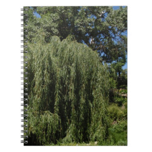 Weeping Willow Tree Notebook