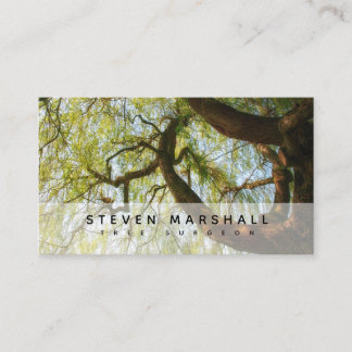 Weeping Willow Tree Surgeon Business Card