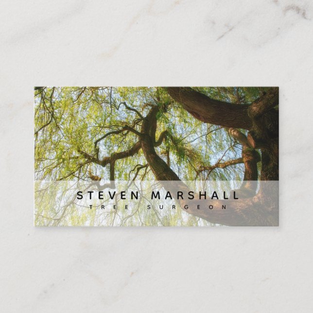 Weeping Willow Tree Surgeon Business Card (Front)