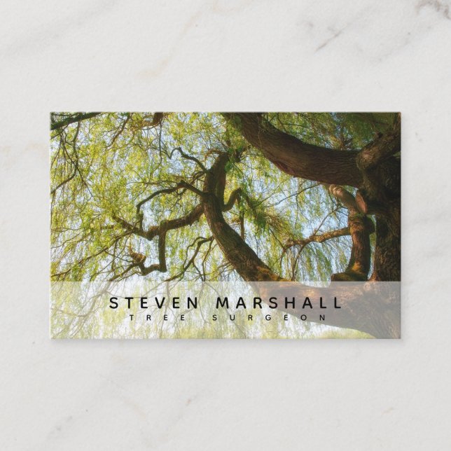 Weeping Willow Tree Surgeon UK Euro Business Card (Front)