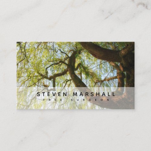 Weeping Willow Tree Surgeon US Business Card