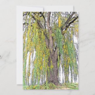 WEEPING WILLOW/YELLOW AND GREEN TENDRILS/BLANK