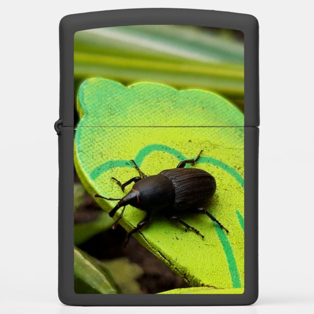 Weevil , Beetles , Curculionoidea , Bug Zippo Lighter (Front)