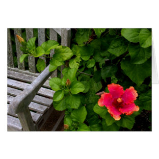 Wegerzyn Garden Center #30 Cards