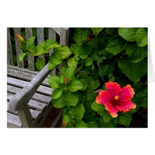 Wegerzyn Garden Center #30 Cards (Front Horizontal)
