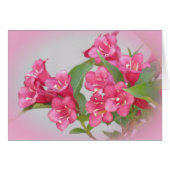 Weigela Blooms (Front Horizontal)