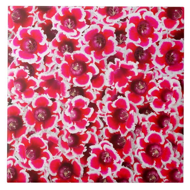 Weigela Florida Flowers Ceramic Tile (Front)