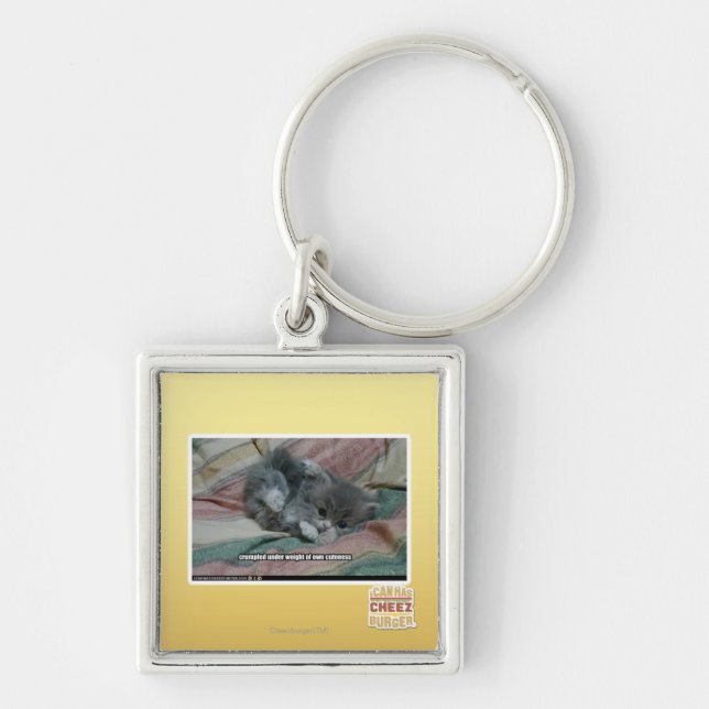 Weight of own cuteness keychain (Front)
