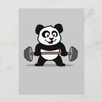 Weightlifting Panda Postcard by cuteunion at Zazzle