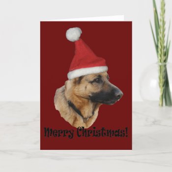 Weihnachten "schäferhund " Holiday Card by mein_irish_terrier at Zazzle