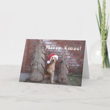 Weihnachtskarte ‘irish Terrier’ Holiday Card by mein_irish_terrier at Zazzle