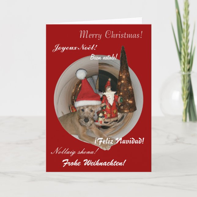Weihnachtskarte ‘Irish Terrier’ Holiday Card (Front)