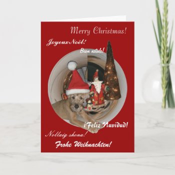 Weihnachtskarte "irish Terrier" Holiday Card by mein_irish_terrier at Zazzle