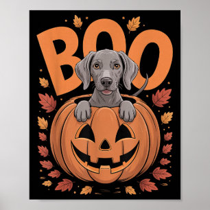 Weim Costume On Pumpkin Halloween Weimaraner Poster