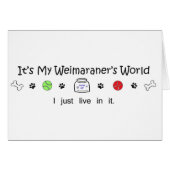 Weimaraner (Front Horizontal)