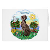 Weimaraner #2 (Front Horizontal)