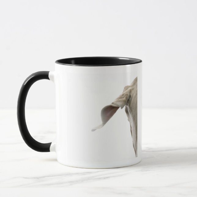 Weimaraner 2 mug (Left)