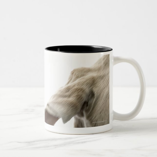Weimaraner 2 Two-Tone coffee mug (Right)