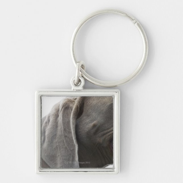 Weimaraner 3 keychain (Front)