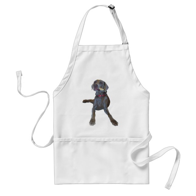 weimaraner adult apron (Front)