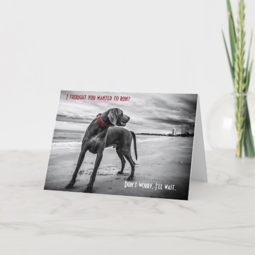 Weimaraner anniversary card