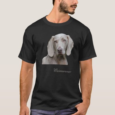 Weimaraner  Beautiful Weimaraner Hunting Dog T-Shirt