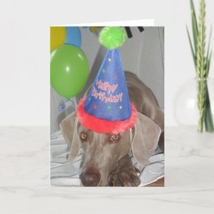 Weimaraner Birthday Greetings Card