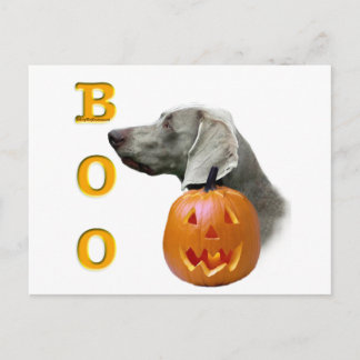 Weimaraner Boo Postcard