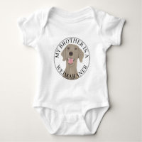 Weimaraner Brother