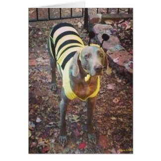 Weimaraner Bumblebee Cards