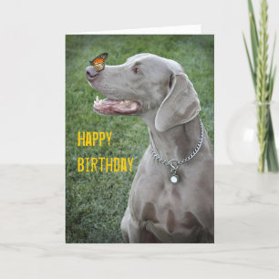 Weimaraner & Butterfly Card