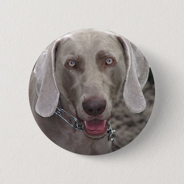 Weimaraner Button (Front)