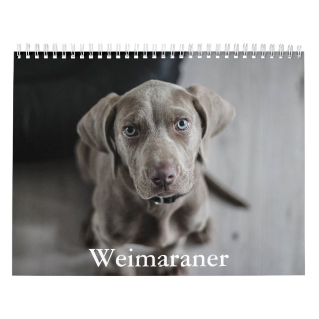 Weimaraner Calendar (Cover)